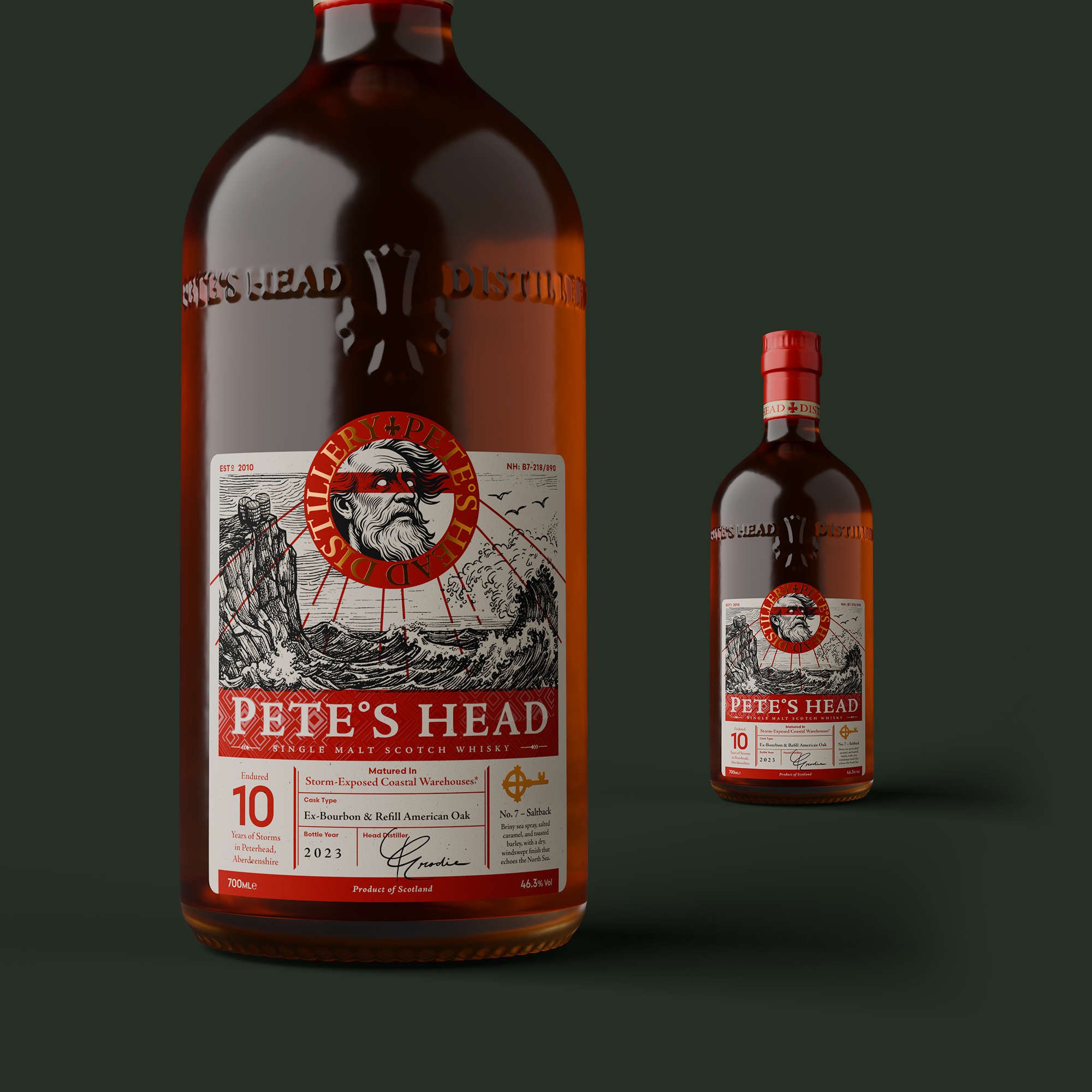 Pete's Head illustration two