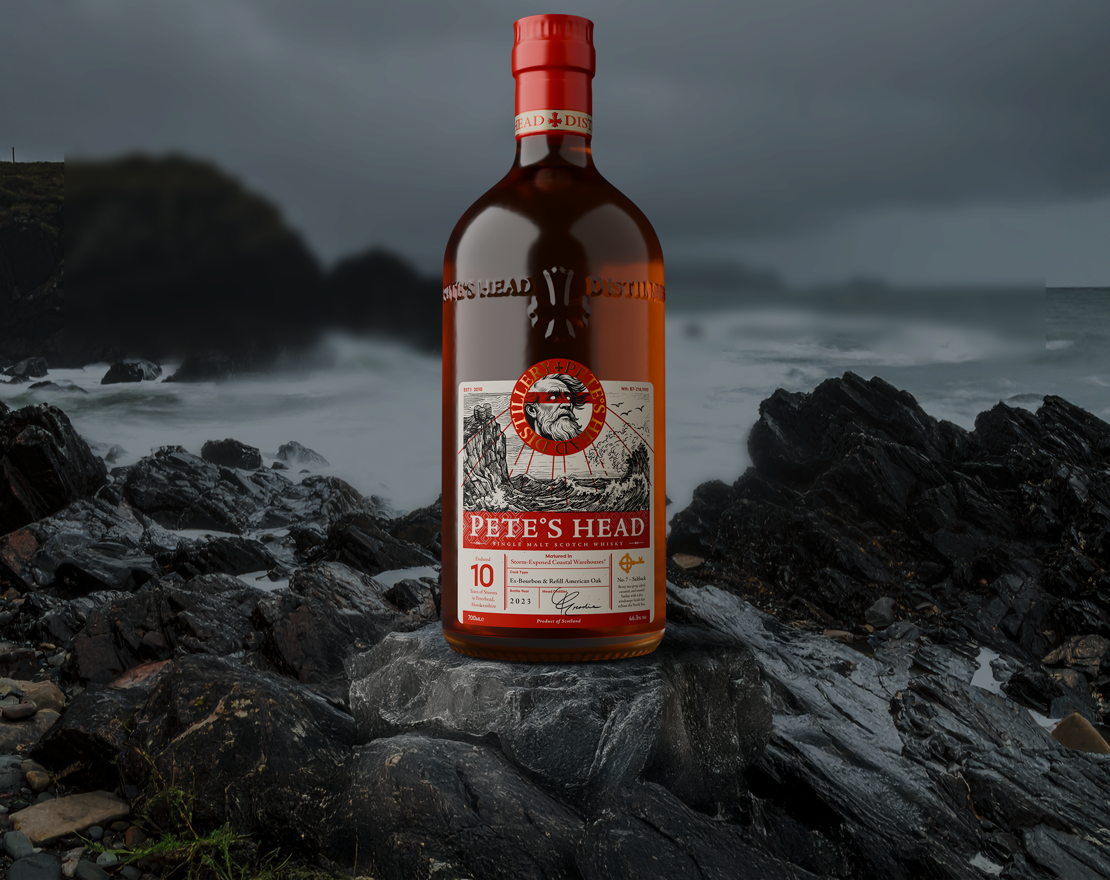 Pete's Head illustration four