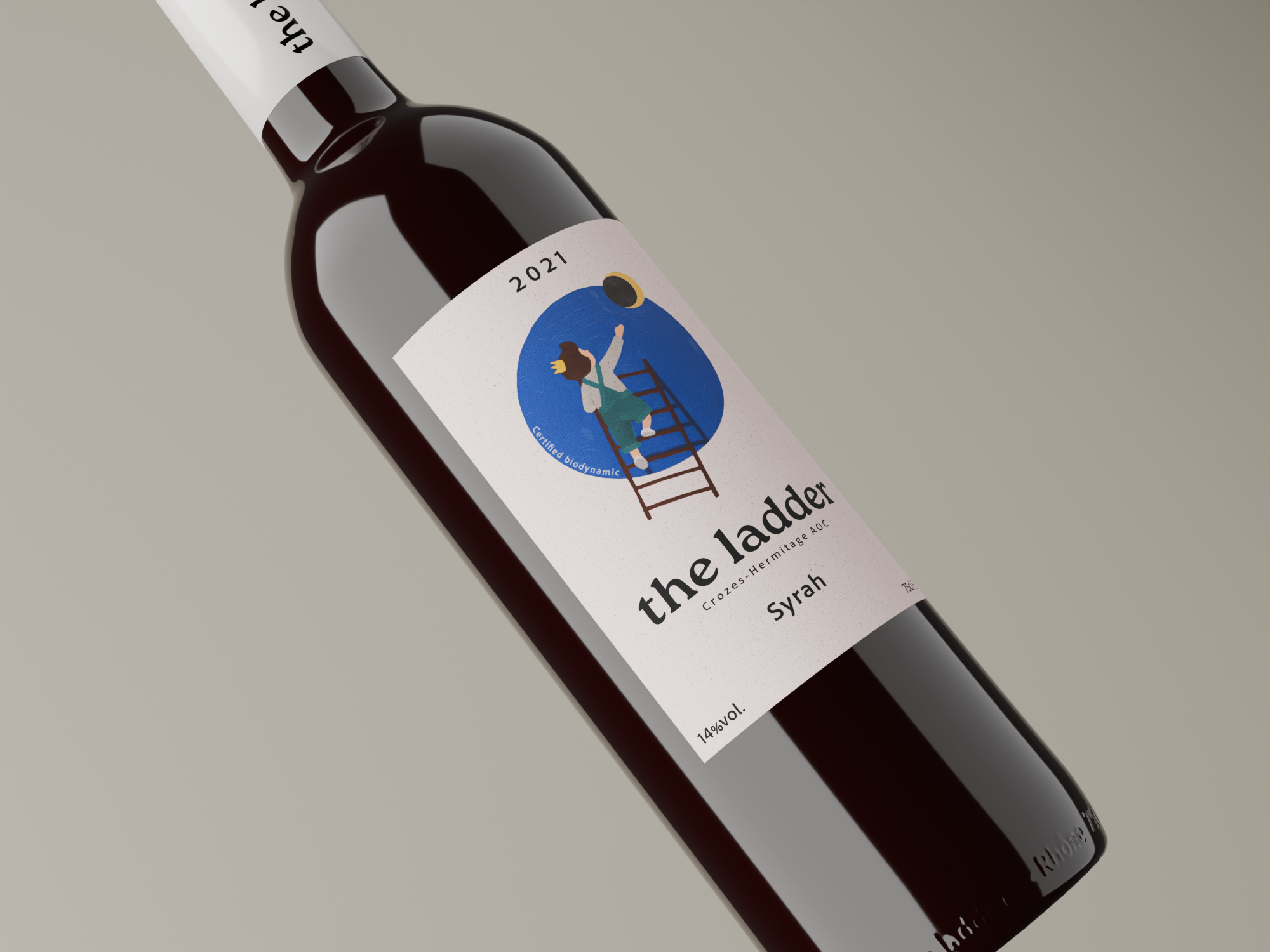 The Ladder project image three