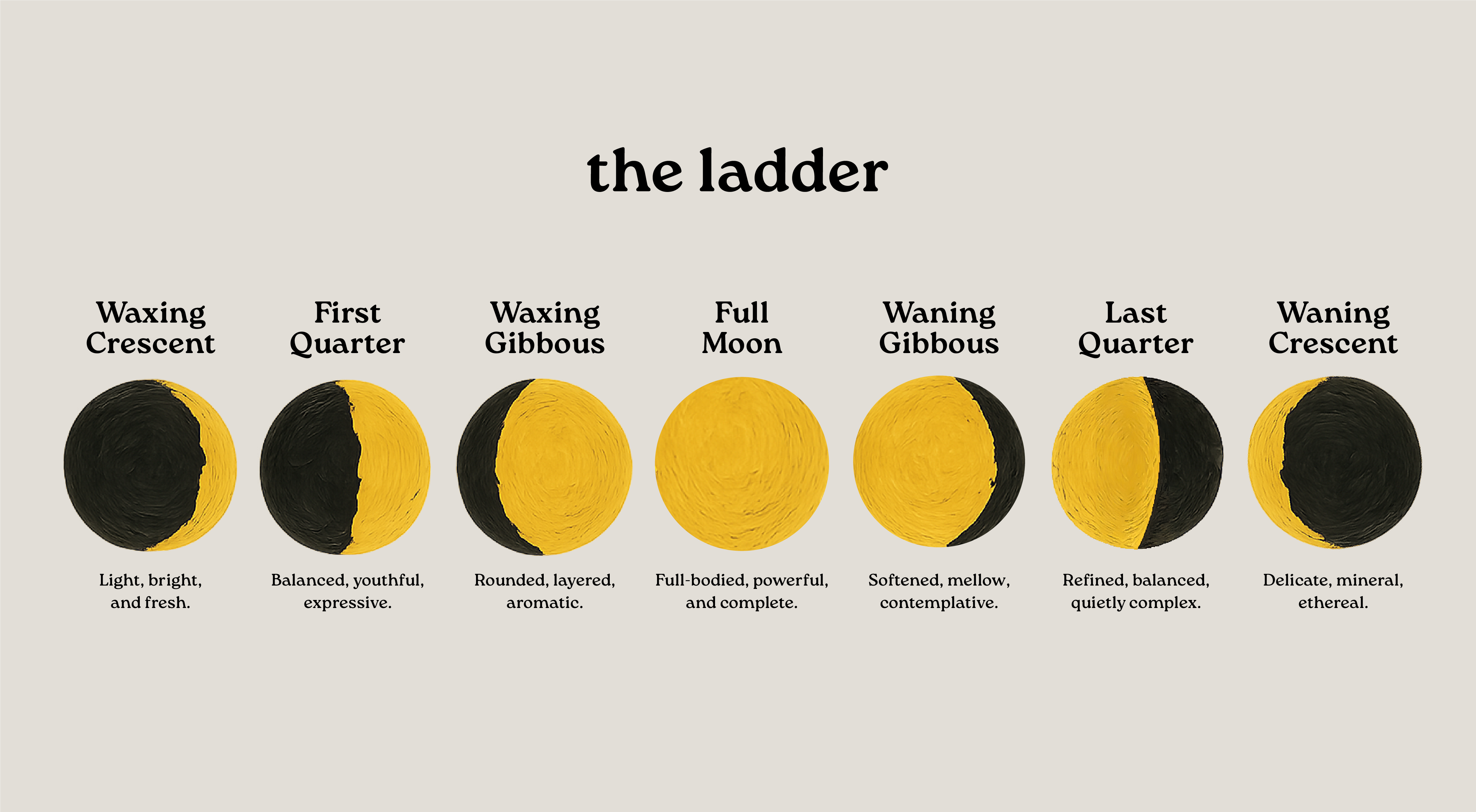 The Ladder project image four